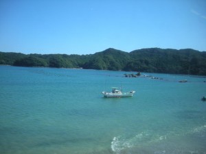 紀勢本線、車窓からマリンブルーの海